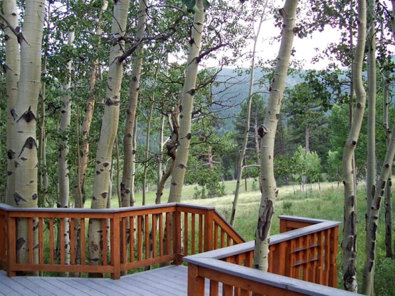 Forested Log Cabin Rental in Mountain Town for Weekend Trip from Denver