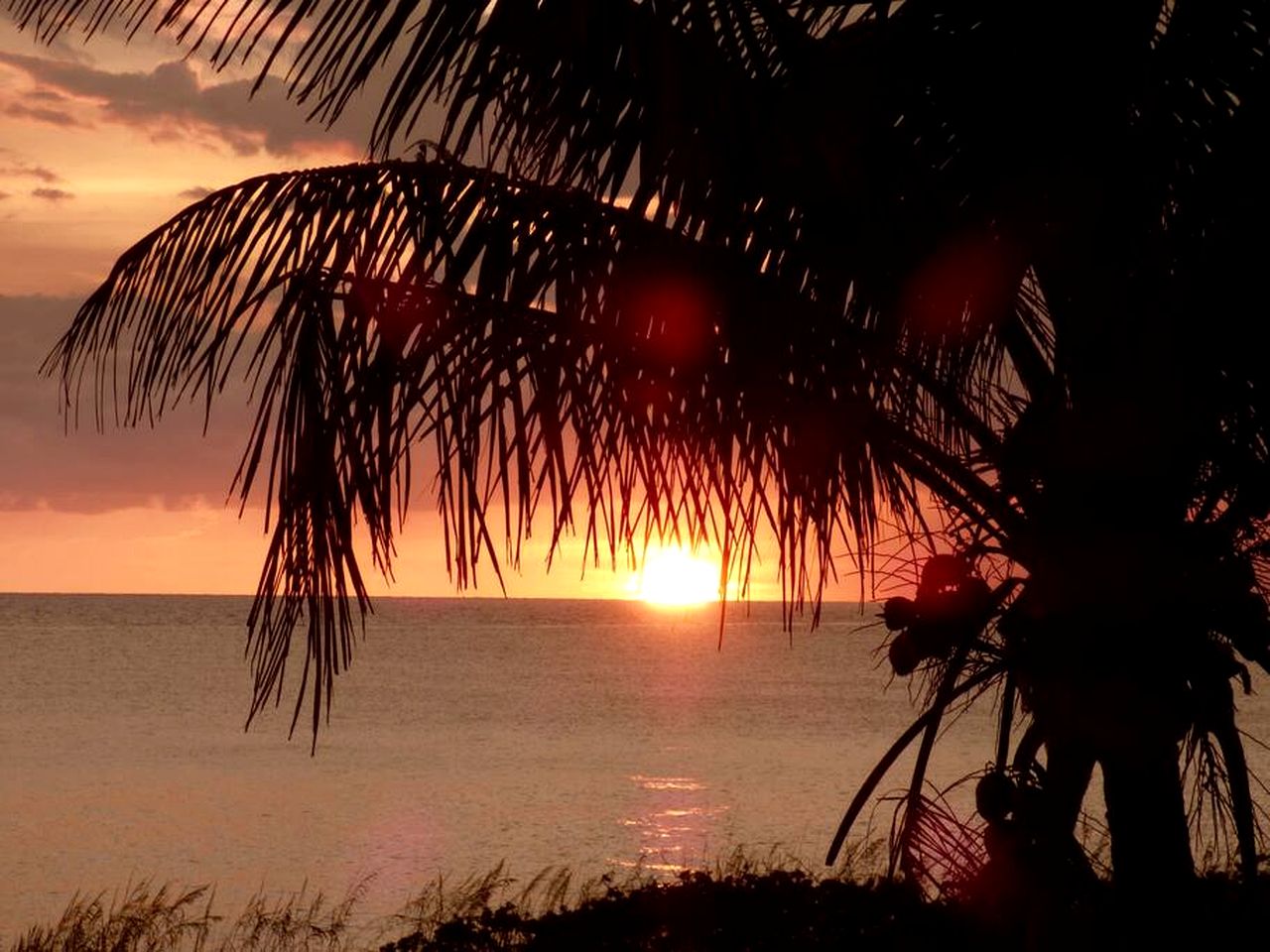 Charming Island Retreat with Gulf Views & Private Dock Access near Little Gasparilla, Florida