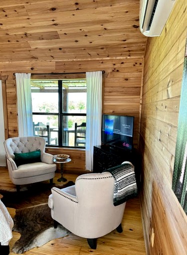 Pet-Friendly Cabin with Sweeping Views Overlooking Fredericksburg, Texas | Cabins (Fredericksburg, Texas, United States of America)