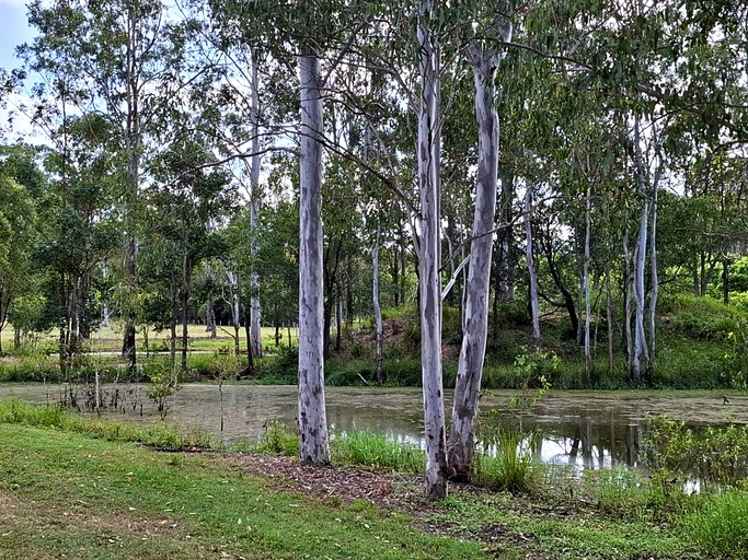 Tiny Houses (Australia, Bundaberg, Queensland)