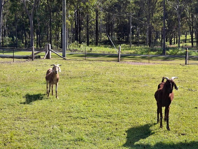 Tiny Houses (Australia, Bundaberg, Queensland)
