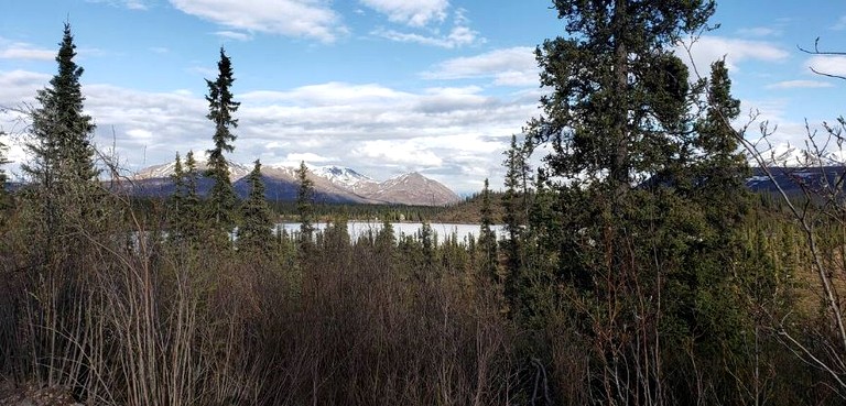 Wrangell-St.Elias National Park Glamping Cabin for an Alaskan Outdoor Adventure | Cabins (Nabesna, Alaska, United States of America)