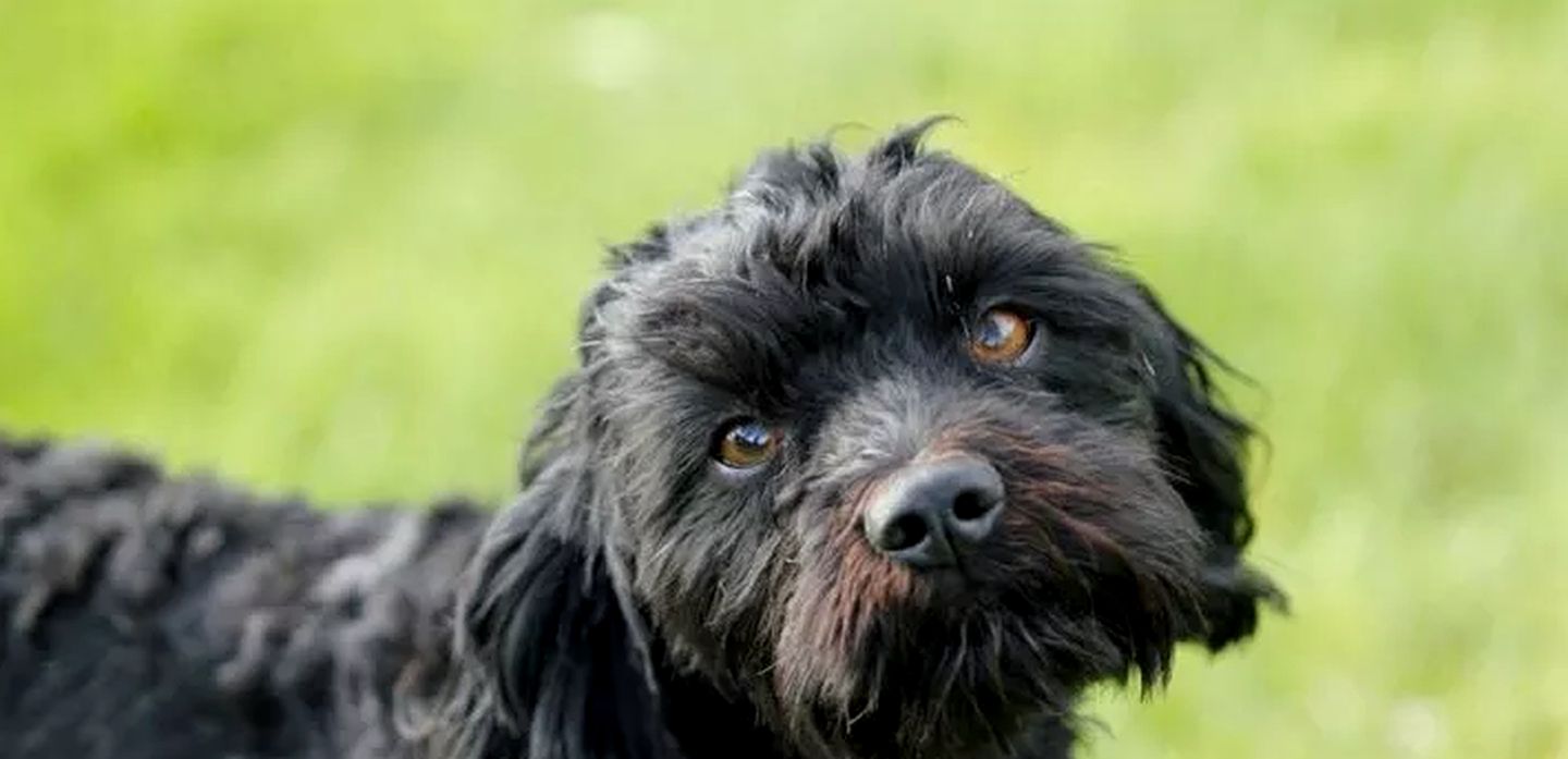Large Comfortable Cottage with Fireplace in Hawkes Bay, New Zealand