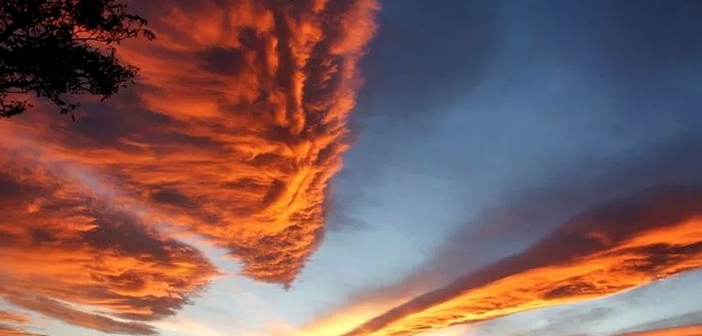 Cottages (Hastlings, North Island, New Zealand)