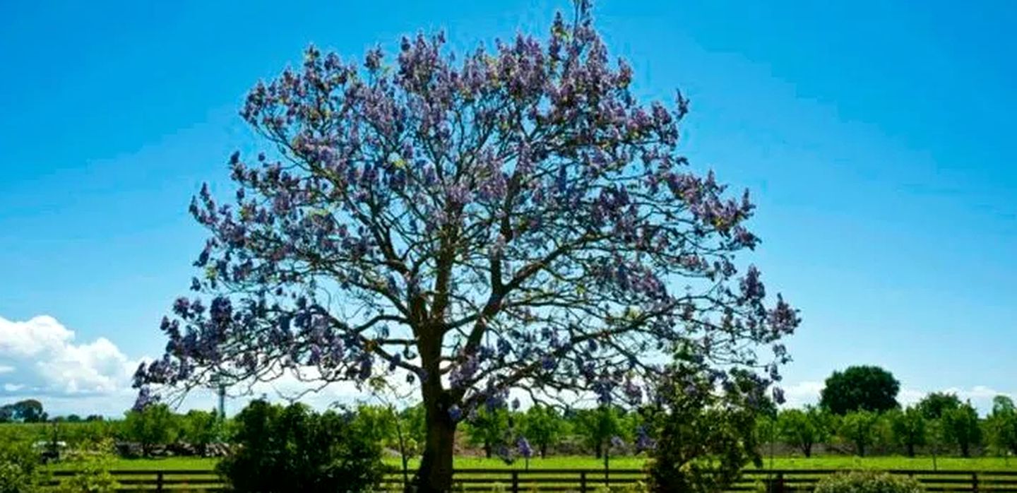 Large Comfortable Cottage with Fireplace in Hawkes Bay, New Zealand