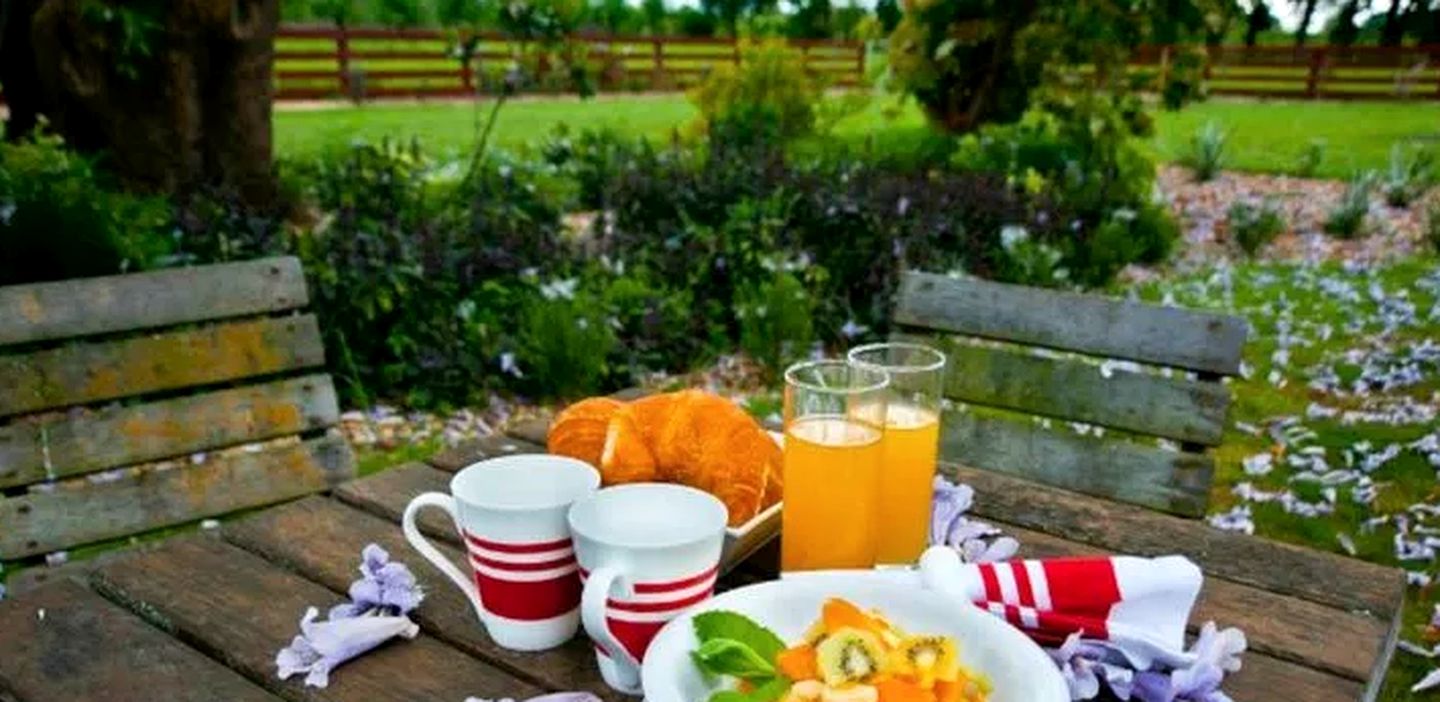 Large Comfortable Cottage with Fireplace in Hawkes Bay, New Zealand