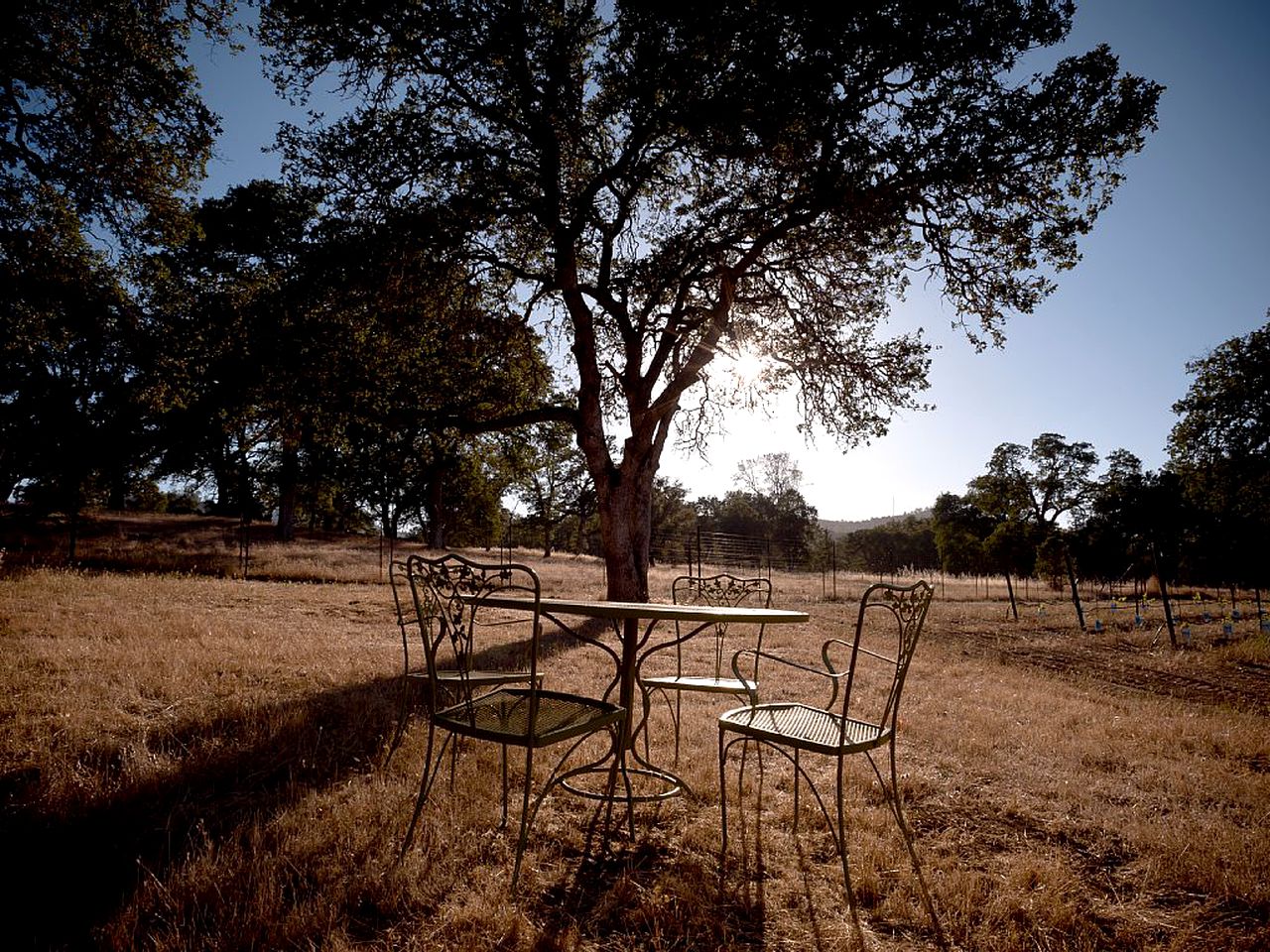 Exquisite Cottage Rental on Peaceful Vineyard near Bear Valley, California