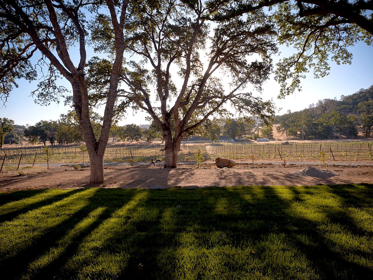 Exquisite Cottage Rental on Peaceful Vineyard near Bear Valley, California