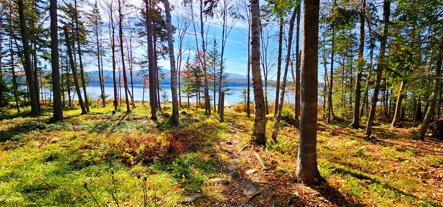 Impressive Cabin with Stunning Forest Sights in Lily Bay Township, Maine