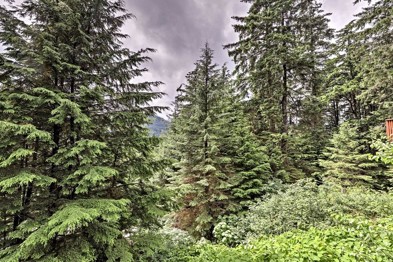 Vacation Rentals (United States of America, Juneau, Alaska)