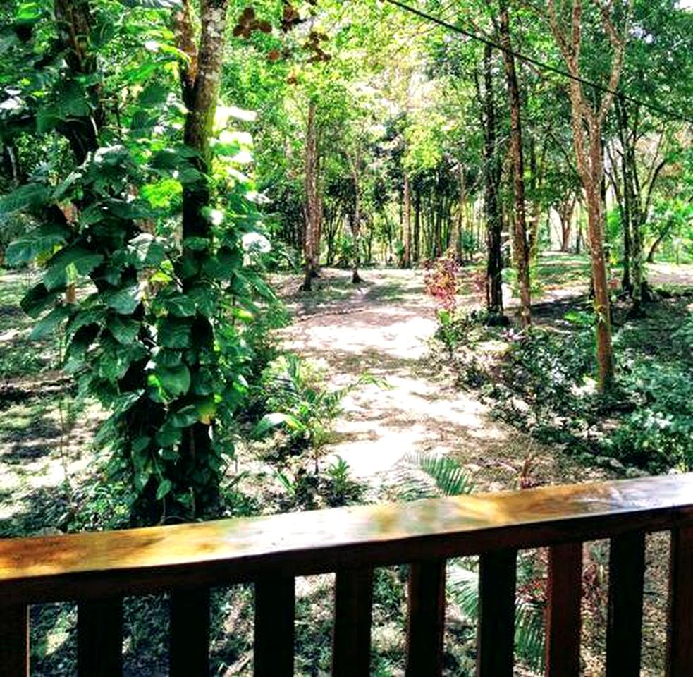 Unique Jungle Getaway near San Ignacio in the Cayo District of Belize