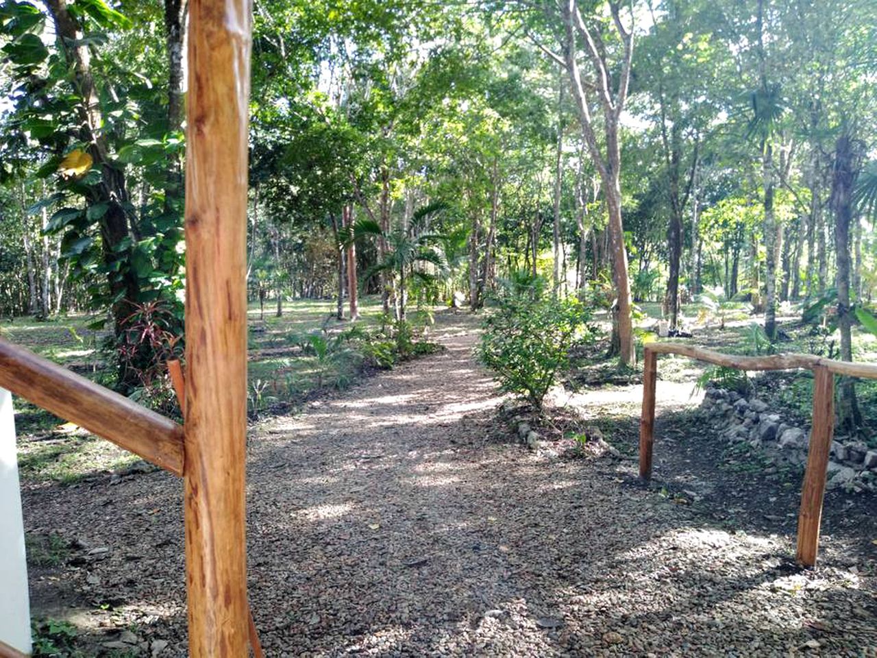 Unique Jungle Getaway near San Ignacio in the Cayo District of Belize