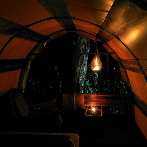 Huts (Tena, Napo, Ecuador)