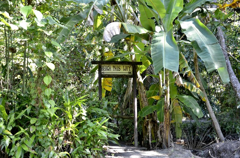 Nature Lodges (Cape Tribulation, Queensland, Australia)