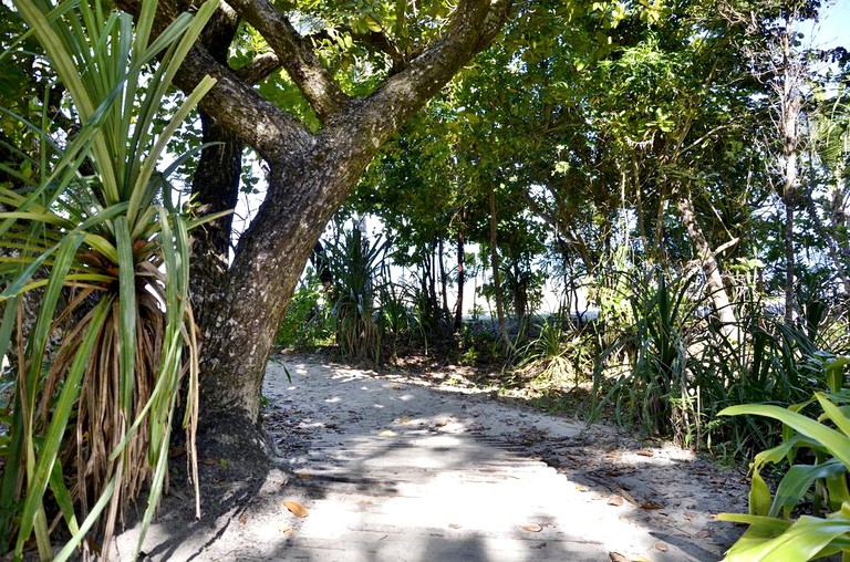 Nature Lodges (Cape Tribulation, Queensland, Australia)