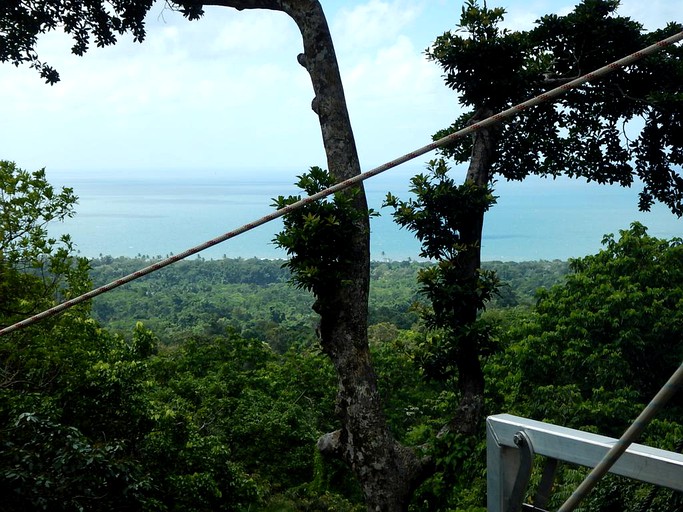 Nature Lodges (Cape Tribulation, Queensland, Australia)