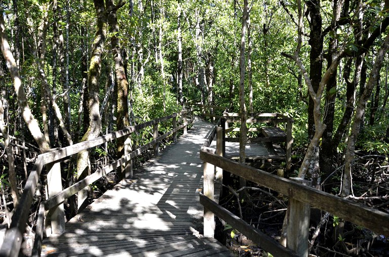 Cabins (Cape Tribulation, Queensland, Australia)