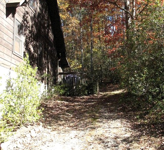 Cabins (Ellijay, Georgia, United States)