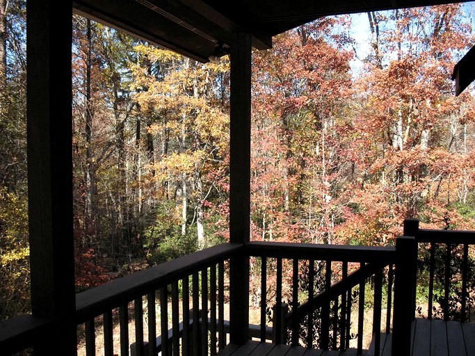 Cabins (Ellijay, Georgia, United States)