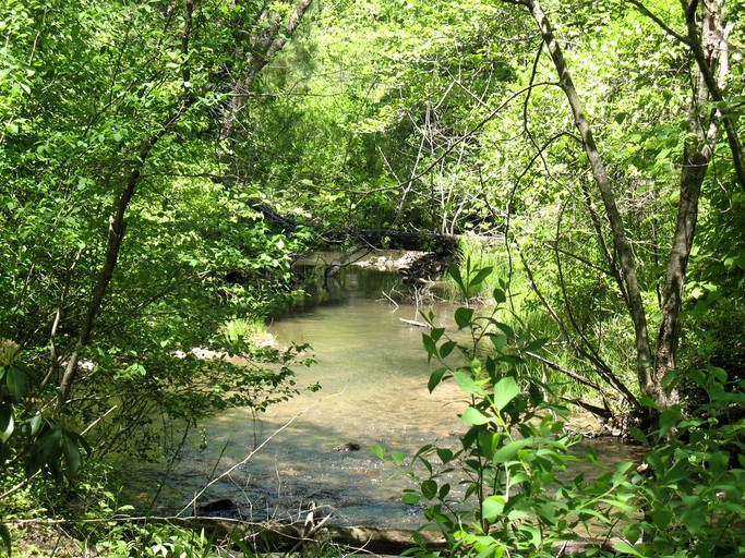 Cabins (Ellijay, Georgia, United States)