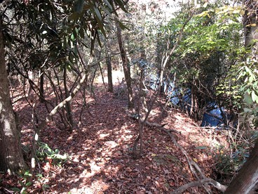 Secluded Cabin Rental with a Hot Tub near Ellijay, Georgia - Photo 2