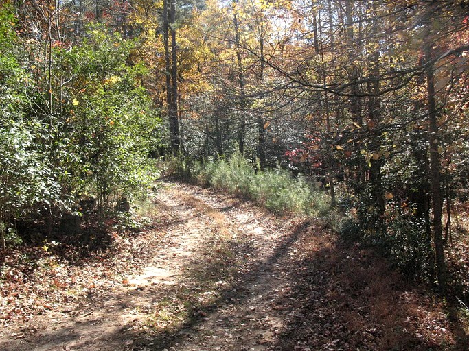 Cabins (Ellijay, Georgia, United States)