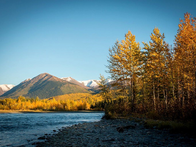 Cabins (Cooper Landing, Alaska, United States)