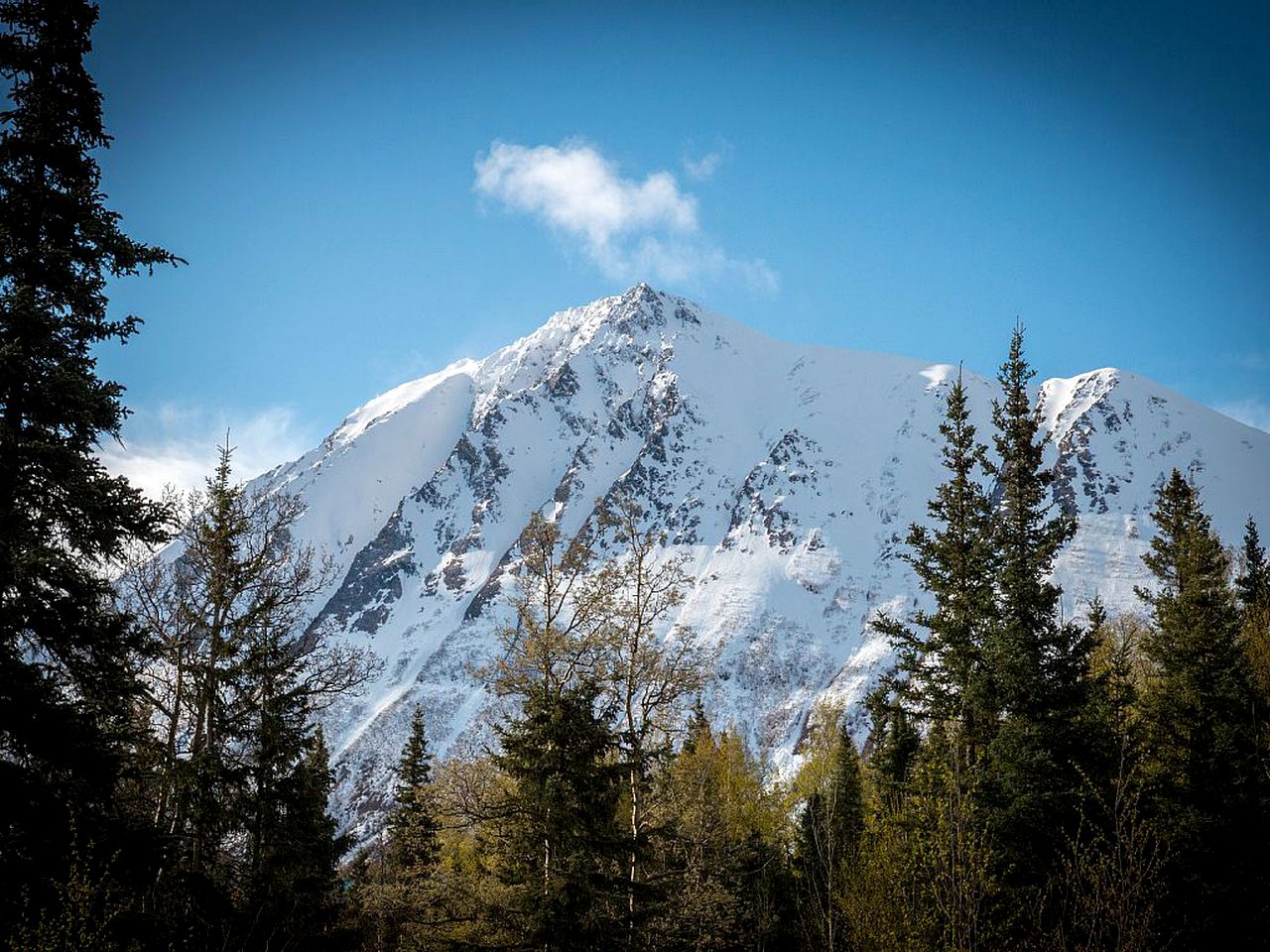Rustic Log Cabin on the Banks of Kenai Lake, Alaska