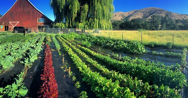 Barns (Tygh Valley, Oregon, United States)