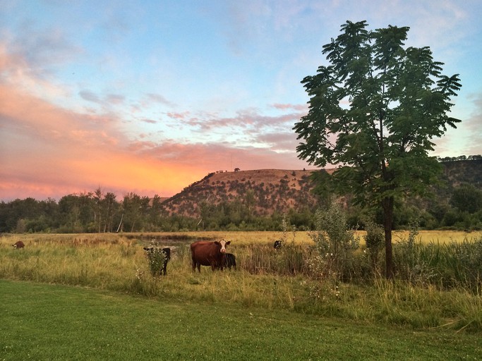 Barns (Tygh Valley, Oregon, United States)