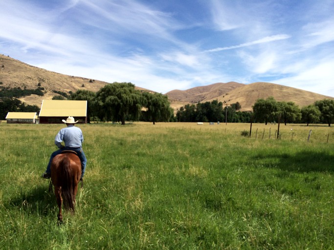 Barns (Tygh Valley, Oregon, United States)