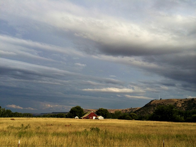 Barns (Tygh Valley, Oregon, United States)