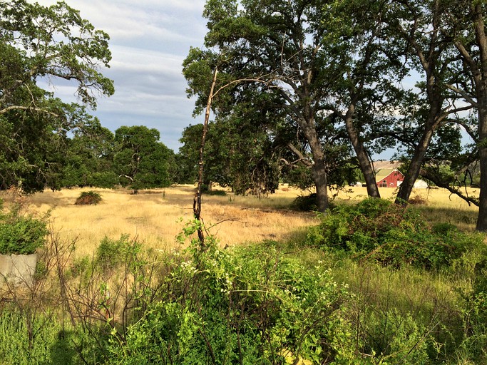 Barns (Tygh Valley, Oregon, United States)