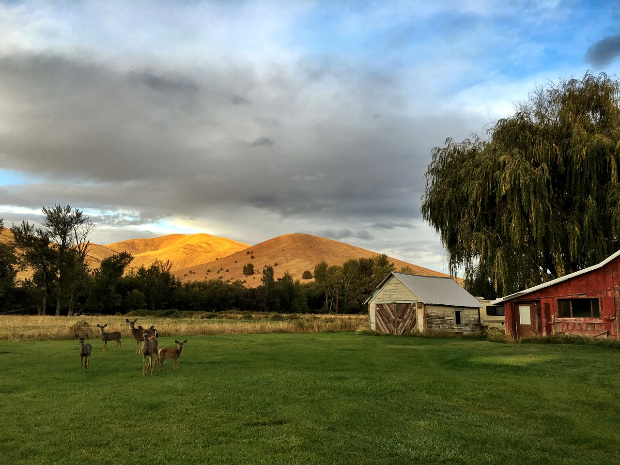 Barn Cabin Rental near Hood River