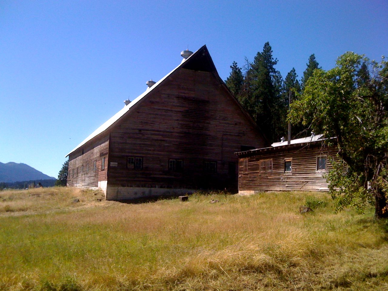 Charming Log Cabin Rental with Outdoor Grill near Gifford Pinchot National Forest
