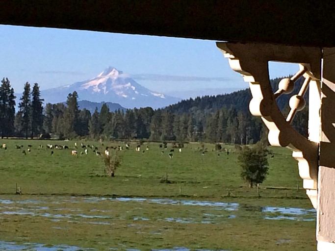Log Cabins (Trout Lake, Washington, United States)