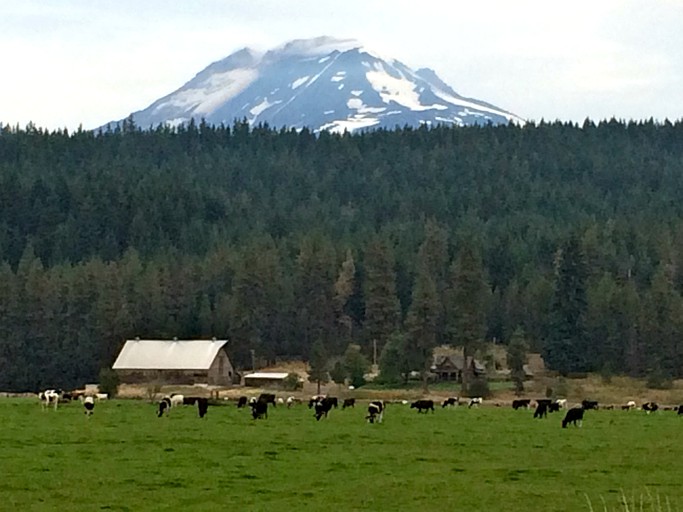 Log Cabins (Trout Lake, Washington, United States)