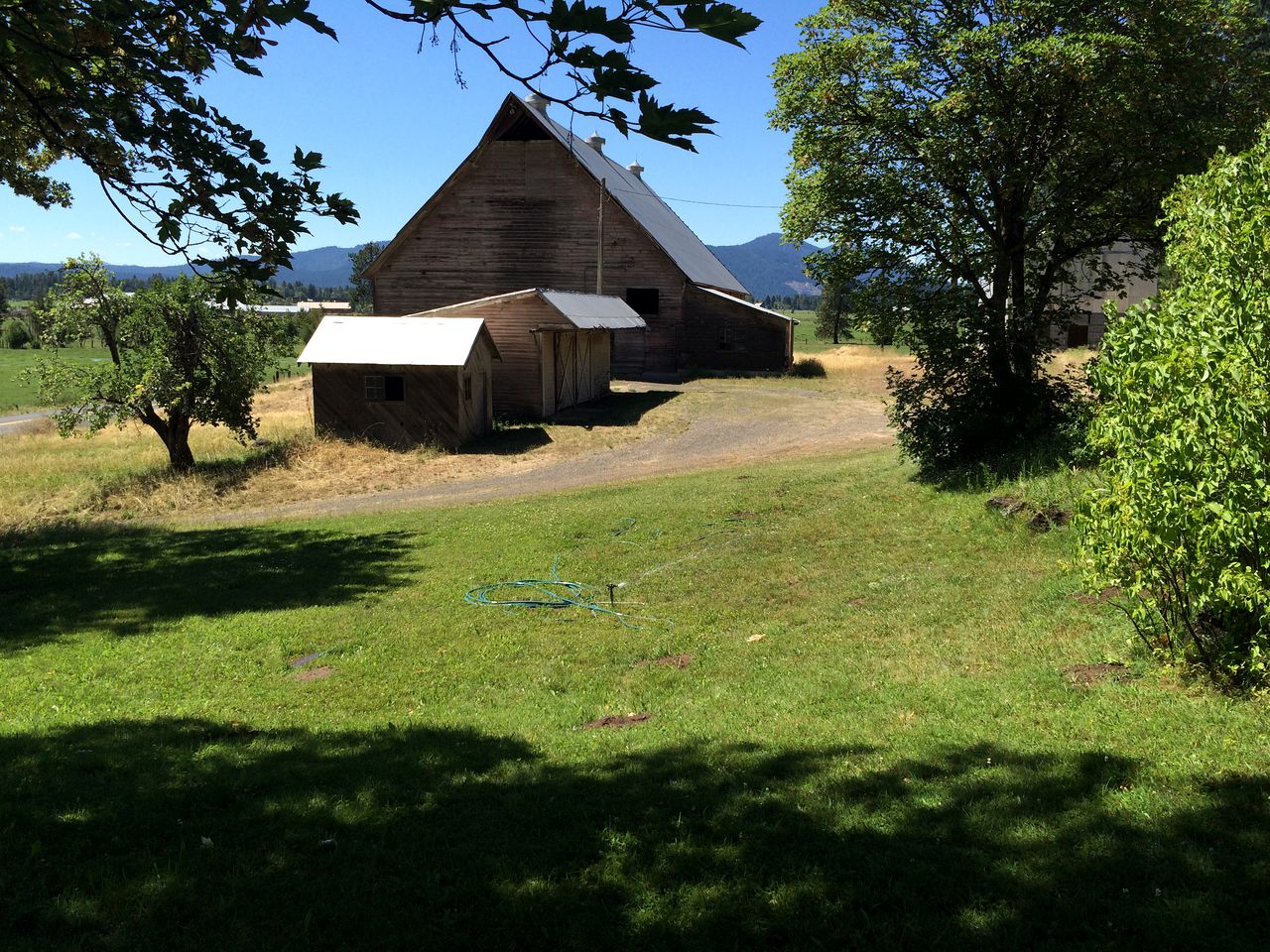 Charming Log Cabin Rental with Outdoor Grill near Gifford Pinchot National Forest
