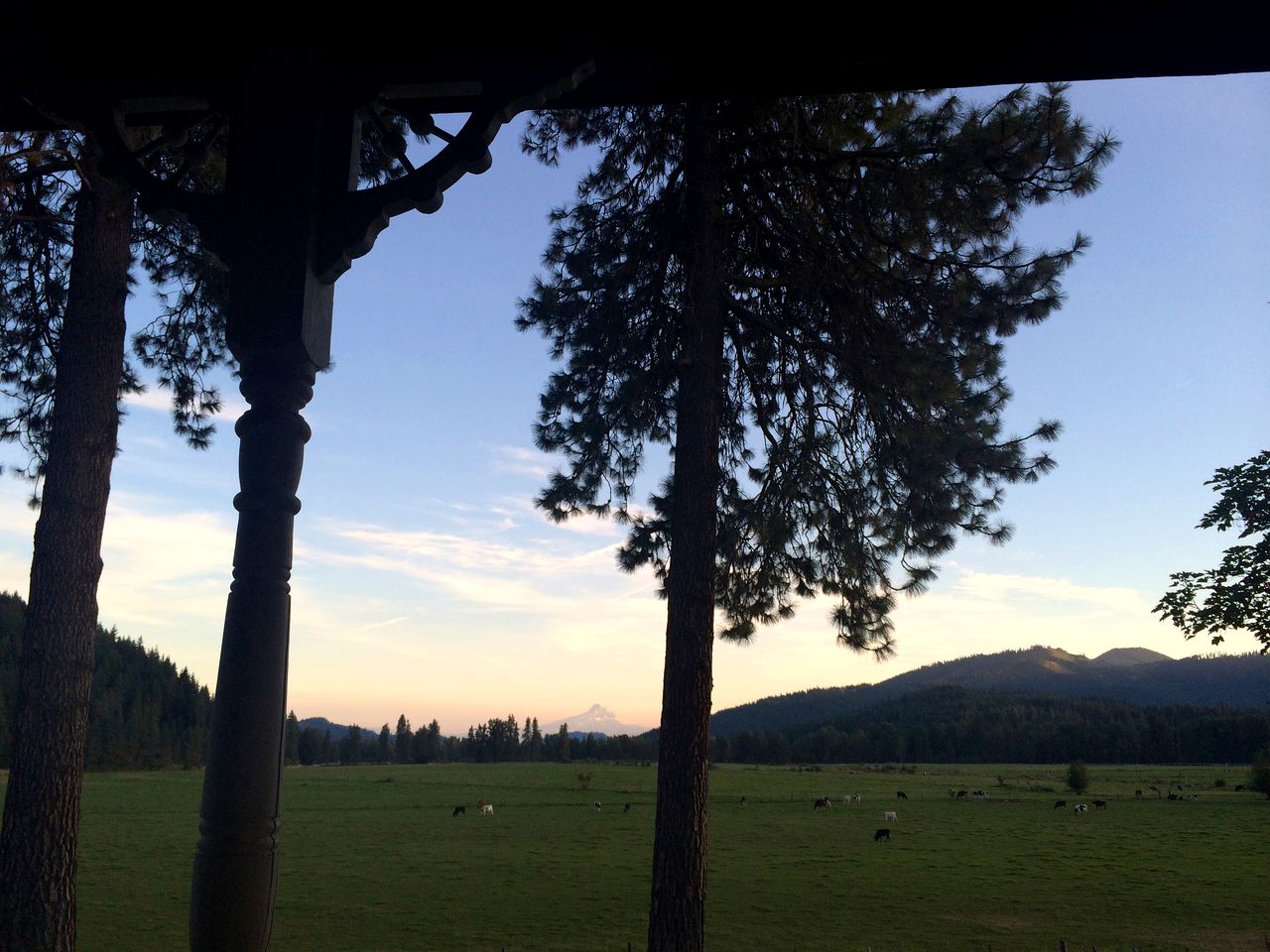 Charming Log Cabin Rental with Outdoor Grill near Gifford Pinchot National Forest