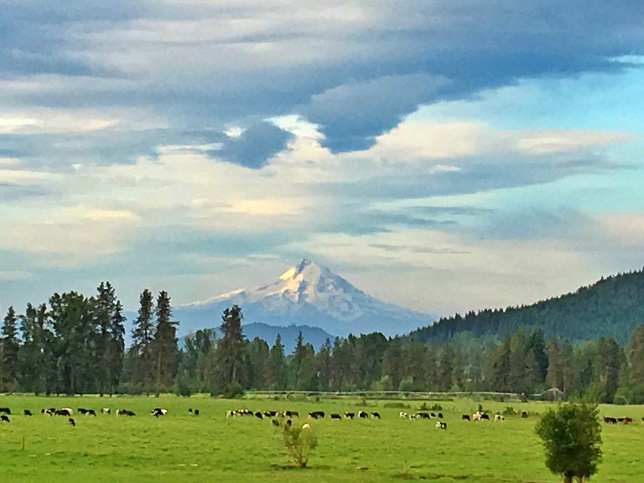 Charming Log Cabin Rental with Outdoor Grill near Gifford Pinchot National Forest