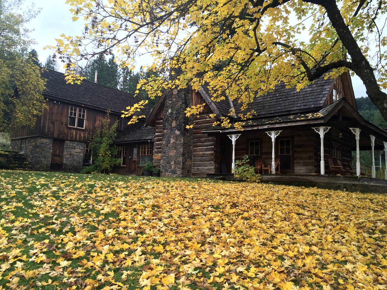 Charming Log Cabin Rental with Outdoor Grill near Gifford Pinchot National Forest