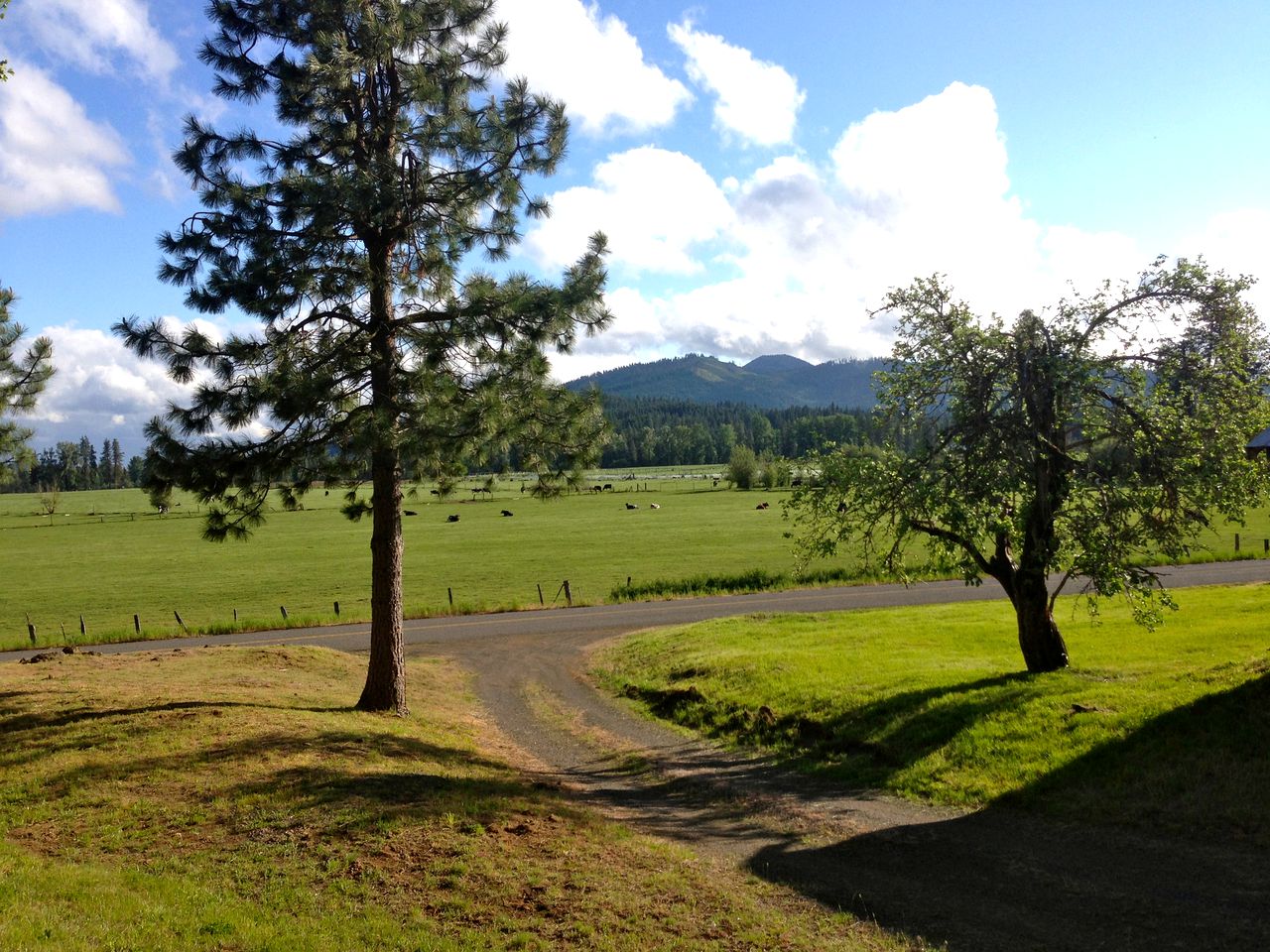 Charming Log Cabin Rental with Outdoor Grill near Gifford Pinchot National Forest