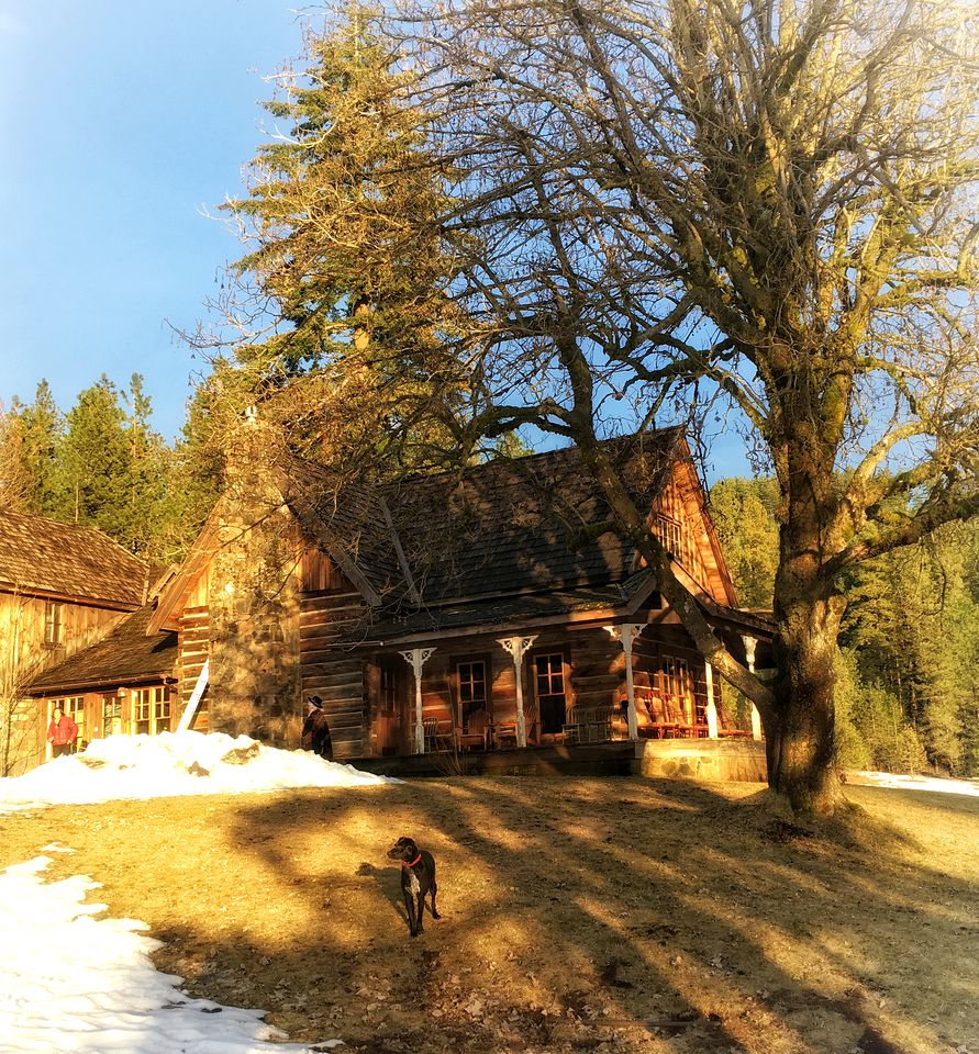 Charming Log Cabin Rental with Outdoor Grill near Gifford Pinchot National Forest