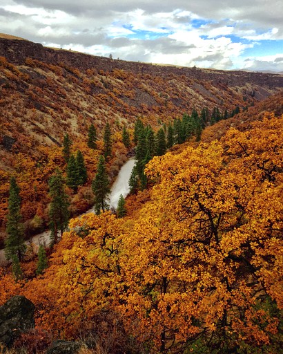 Log Cabins (Tygh Valley, Oregon, United States)