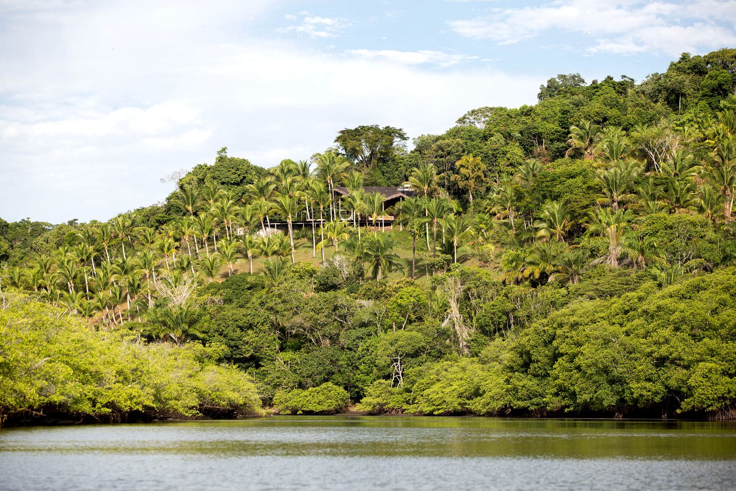 Gorgeous Villa Rental with Amazing Ocean Views and a Pool in Itacaré, Brazil