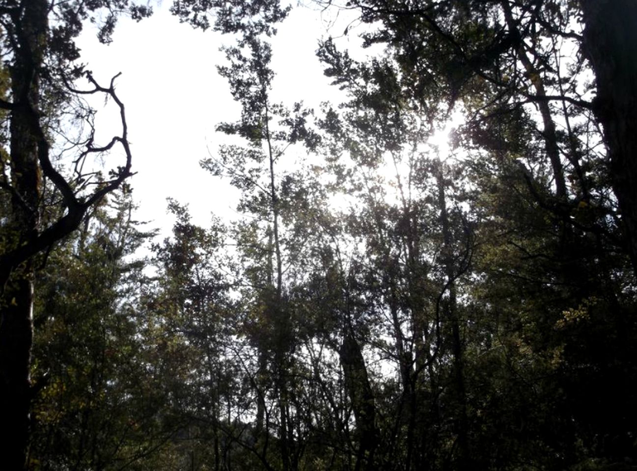 Secluded Cottage Retreat near Kahurangi National Park in Tapawera, South Island
