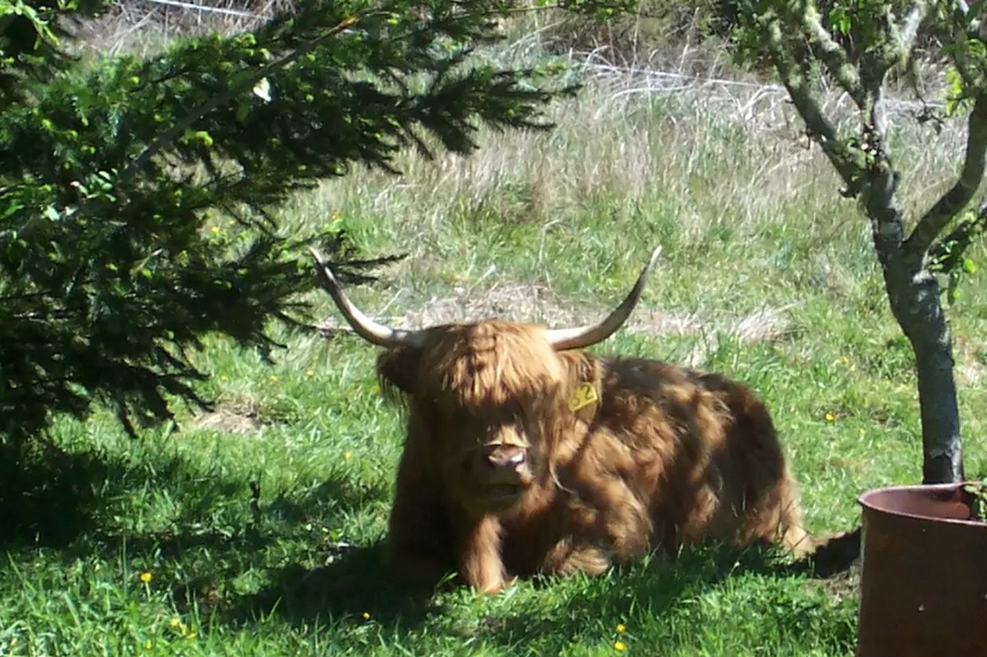 Secluded Cottage Retreat near Kahurangi National Park in Tapawera, South Island