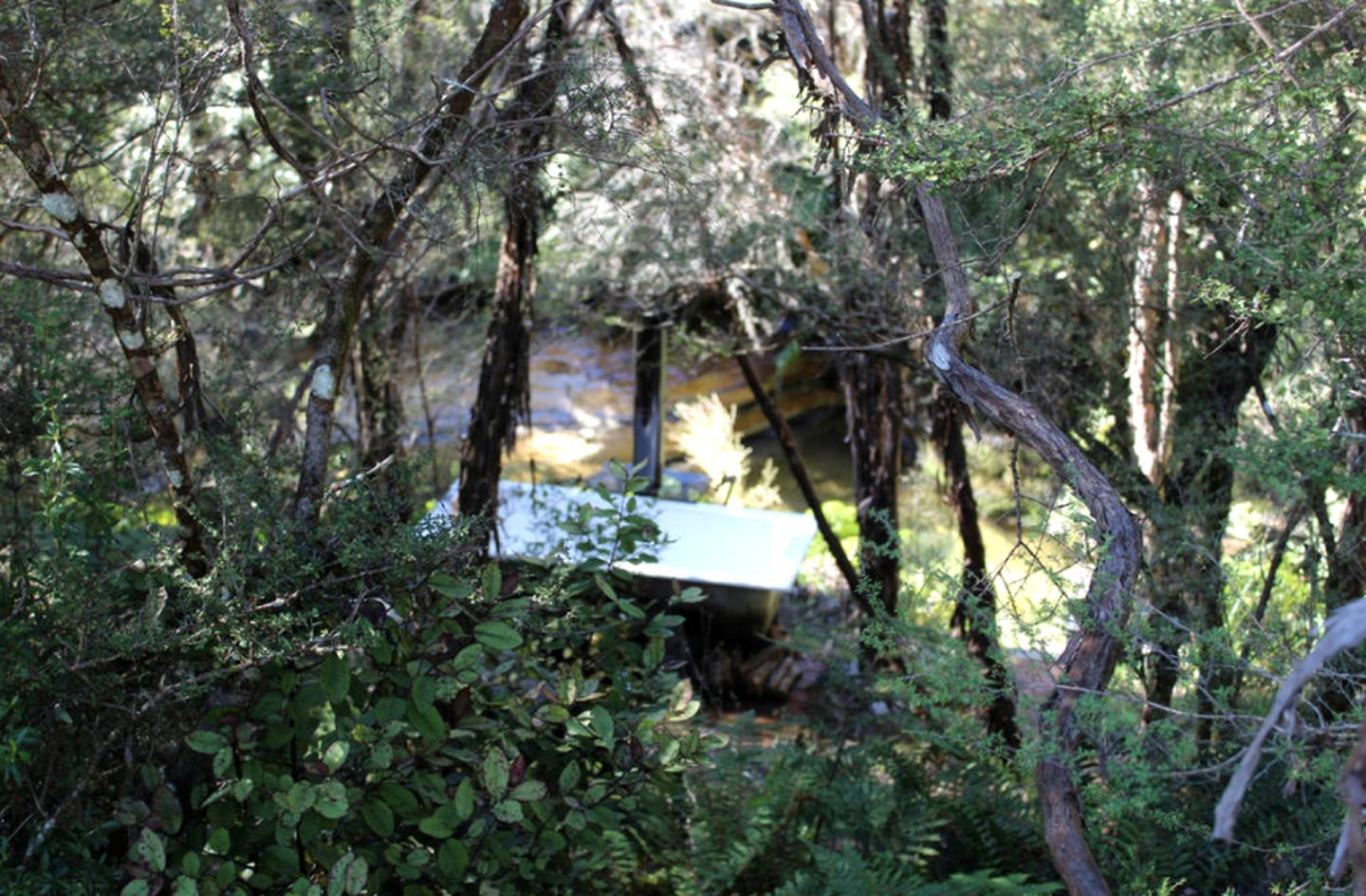 Secluded Cottage Retreat near Kahurangi National Park in Tapawera, South Island