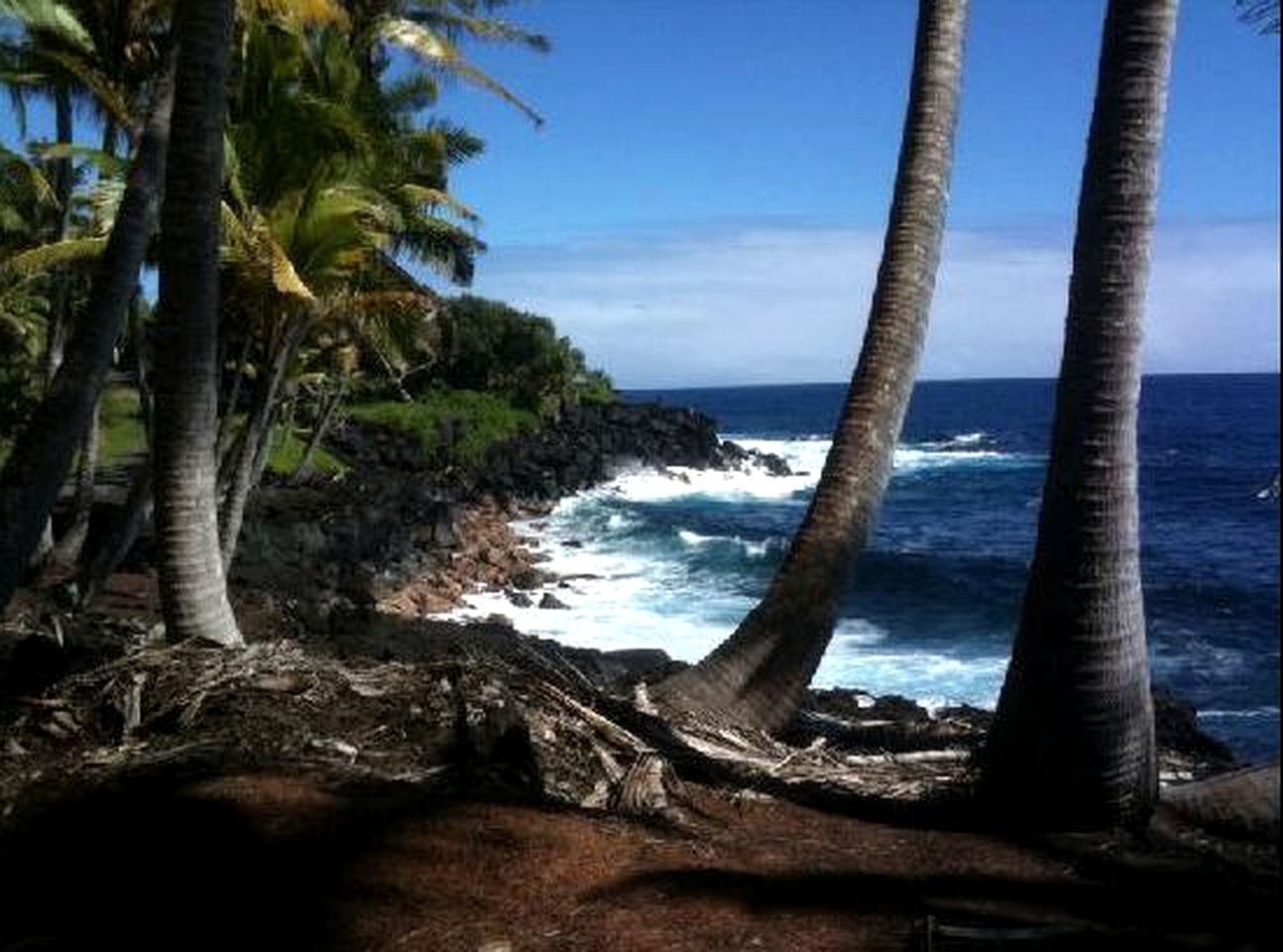 Private Vacation Getaway near Hawaii Volcanoes National Park in Pahoa, Hawaii