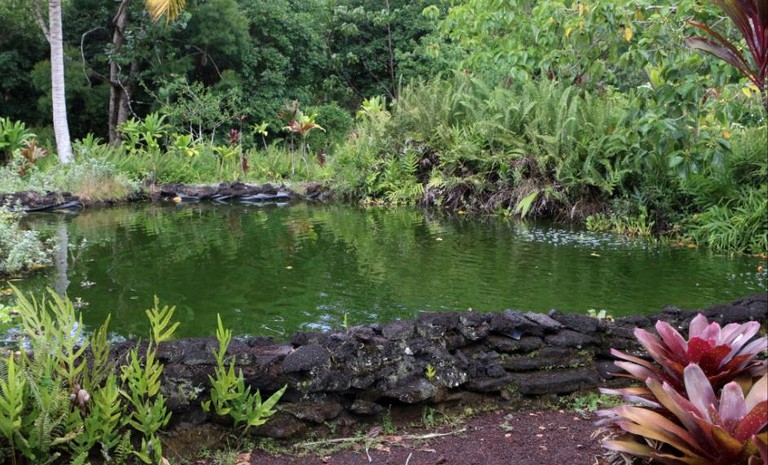 Nature Lodges (Pahoa, Hawaii, United States)